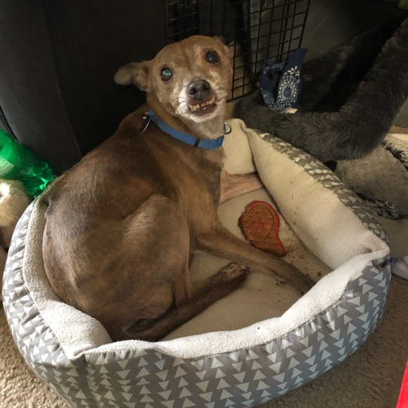 Meet your Posher, April - Picture 10 of 15